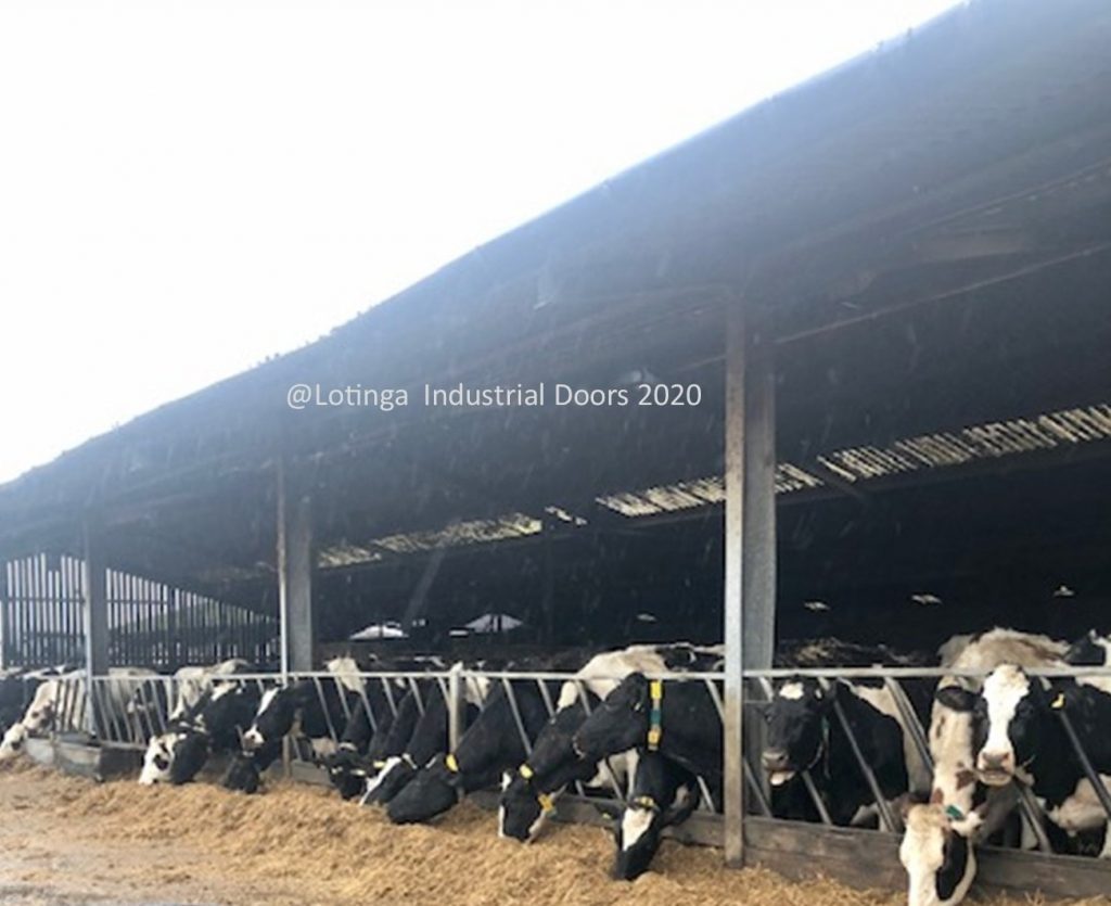 Galvanised Agricultural Doors